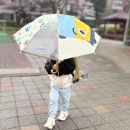 22년생이 환장하는 신발 : 토박스 다이노솔즈 LED 공룡운동화 착용후기