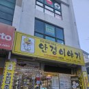 안민동 정자나무 이미지