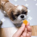 로미한의원 이미지