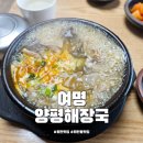 여명양평해장국 | 화전 맛집 여명양평해장국 내장탕 해내탕 선지 무한리필