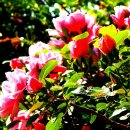 충무공초등학교 이미지