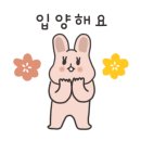 카라인테리어 이미지