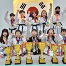 팀코리아 태권도장 이미지