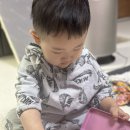 위례트레이더스 신상 위니비니 티니핑 젤리 틴케이스 구매후기