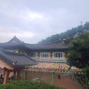 해동궁사서 본 경치들 이미지