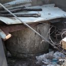 주생면 낙동마을 이미지