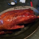 황제오리 이미지