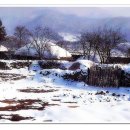 동지섣달 꽃본듯이 이미지