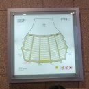베스트음악홀 | 한경 아르떼 필하모닉 더클래식 2025 시리즈4 슈트라우스와 말러의 독일 낭만음악 초대관람후기🎻