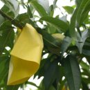 일신농장 이미지