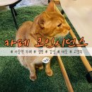 카페코.스타