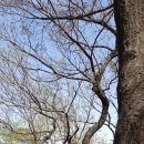 앵글노래연습장 이미지