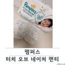 터치홀릭 - 고양시 일산동구 정발산로 15 | 허벅지 자국 없는 팬티형 기저귀, 팸퍼스 2026 터치 오브 네이처 사용후기