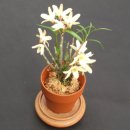 지월농장 이미지