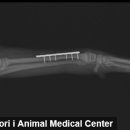 조치원메디컬센터 이미지