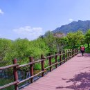 백제가요정읍사오솔길(2코스 내장호 수변데크) 이미지