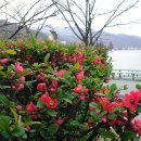 수성못길 이미지