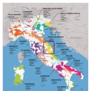 애비뉴428 이미지