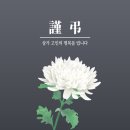 리버플로우 이미지