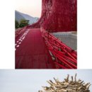 영월Y파크(술샘박물관) 이미지