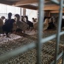 청계유통 이미지