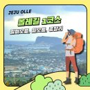 성산읍 푸른마을 | 날씨요정과 함께 했던 올레길 1코스 (말미오름, 알오름)