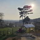 보령애견동반펜션 피노비스타 이미지