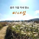 비내섬 화장실 | 충주 가을 억새 명소 비내섬 둘레길 코스 시간 솔직후기