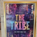 뮤지컬 더 트라이브 후기 서울 광화문 볼거리 추천