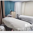 플라베스 이미지