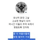 센티멘탈버스 | 김성규 콘서트 LV4 : LEAP TO VECTOR 🛸 첫콘 후기 260718 (부산 KBS홀 가구역)