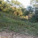 원원농장 이미지