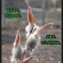 cafe 흥 이미지