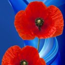 천사의 눈 이미지