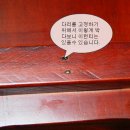 도마다리 이미지