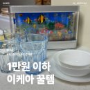 이케아 고양점 | 이케아 고양점 평일 방문 후기, 1만원 이하 가성비 꿀템 쇼핑리스트