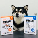 맛있개 건강하개 | 기호성 좋은 강아지 고양이 프리미엄 츄르 건강하개 튼튼스틱 (보관방법, 급여량)