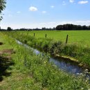 고충민원행정사 이미지