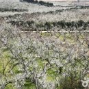 남부농원 이미지