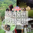강아지밥집 | 강아지랑 가평여행! 애견동반 여행후기 + 코스 추천 (숙소·카페·밥집 총정리)
