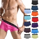 아날도바시니 이미지