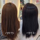 부산 기장 미용실 염색 잘하는곳, 다온헤어 기장점 후기
