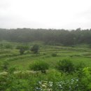 봉양축구장 이미지