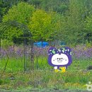 미네팜 이미지