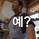 서울갈매기