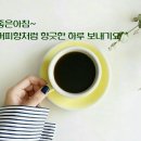 월요일 Daum카페