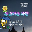 삶의 잔잔한 행복 이미지