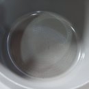 카라반 파파 이미지