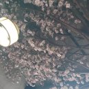 충칭우육면 이미지