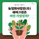 쉐어그린마트